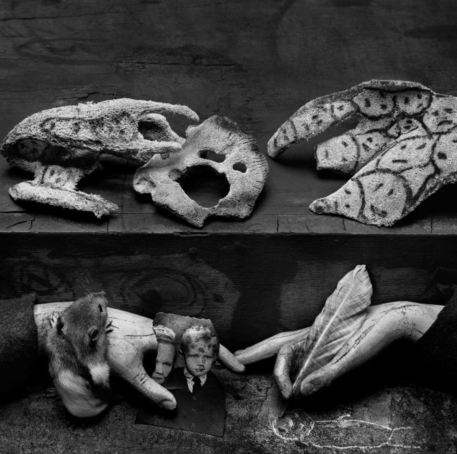 アート・デザイン・音楽 ROGER BALLEN Fotografien 1969--2009 18％OFF